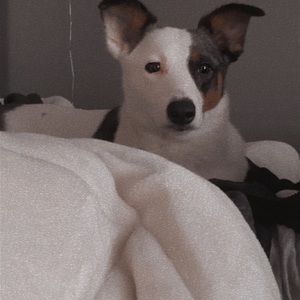 Meet your Posher, Sam